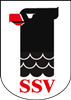 SSV Hagen-Fussball